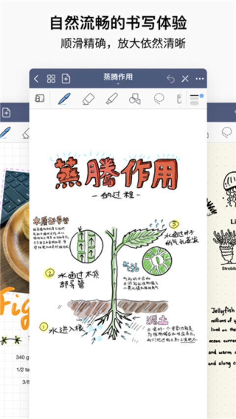 49岁舒淇生日发文公开素颜照，治好了我的年龄焦虑